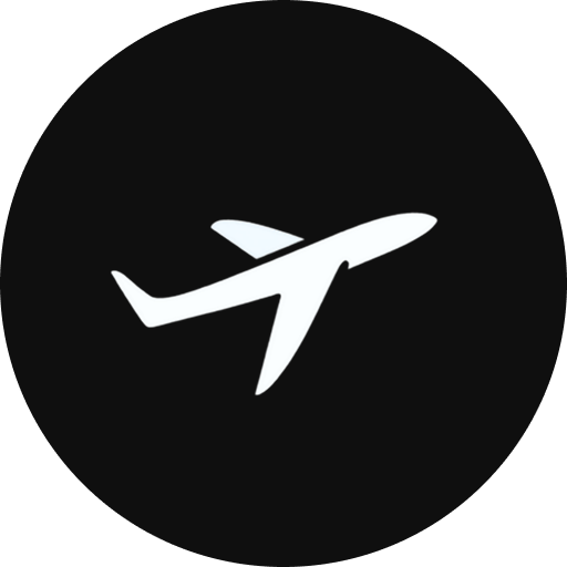 Fly Soar logo